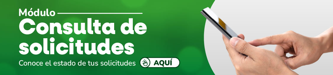 Modulo de consultas